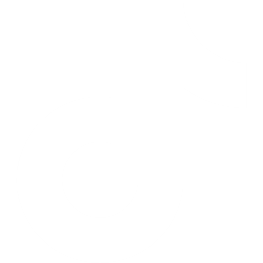 TikTok Logo